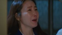 Sinopsis Film Korea Sugar, Perjuangan Seorang Ibu Melawan Hukum demi Menyelamatkan Nyawa Anaknya